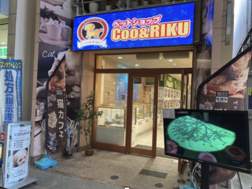 ペットショップcoo Riku 広島本通店 広島本通商店街